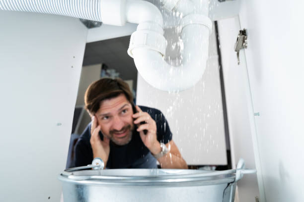 Best Drain Cleaning Services  in Paw Paw, MI