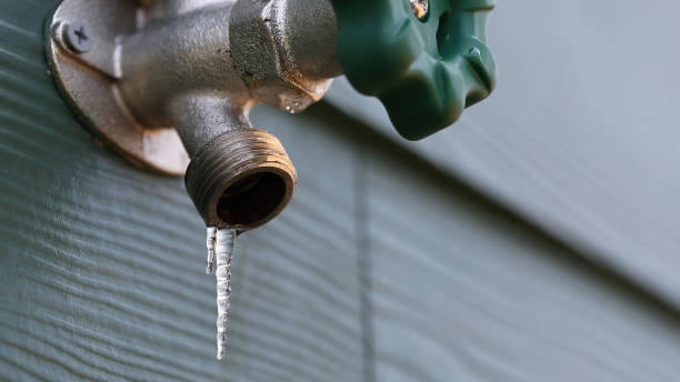 Best Local Plumber Services  in Paw Paw, MI