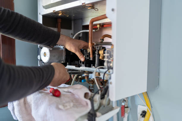 Best Plumbing Inspection Services  in Paw Paw, MI