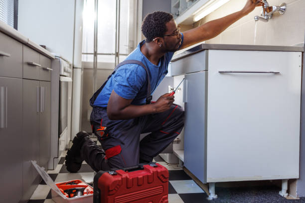 Best Residential Plumbing Services  in Paw Paw, MI